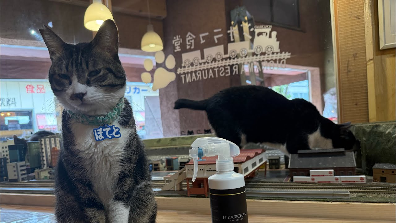 Today's donation for surgery costs is 85,000 yen. Thank you very much! ②