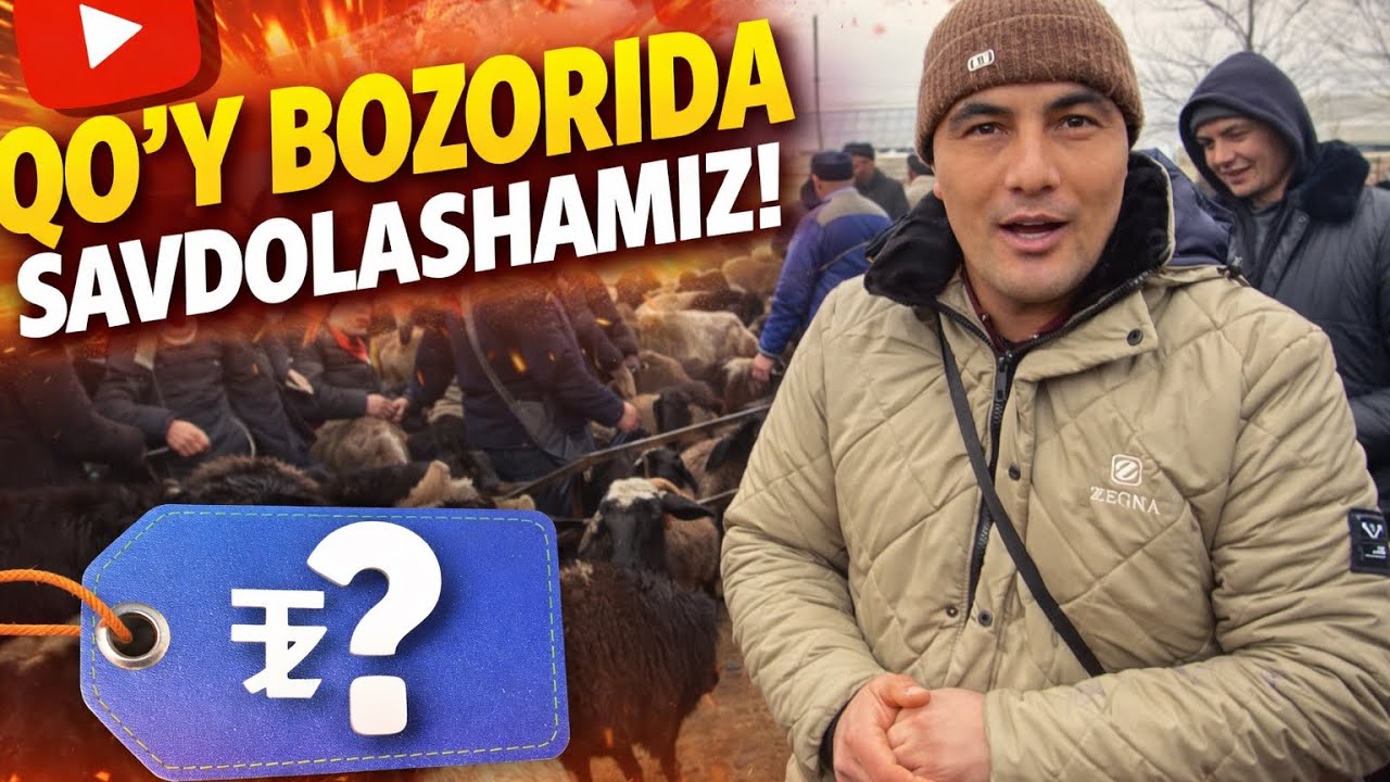 Бозордаги ТОП қўйлар-харидорлар талашди! 