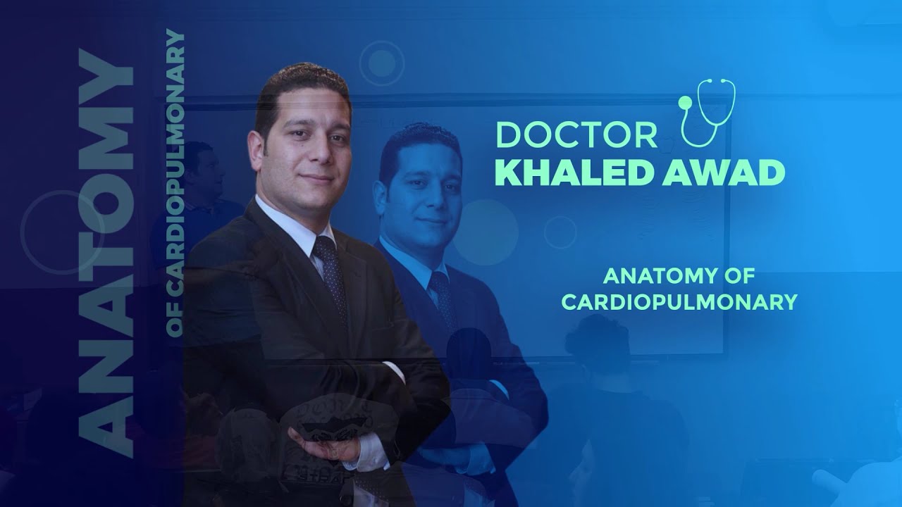 (Cardiopulmonary 1) Anatomy of thoracic wall 1 