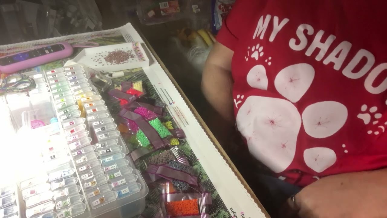 Подготовка клуба алмазной живописи, вечер с мальтийскими пуделями, спасибо, Кристи!