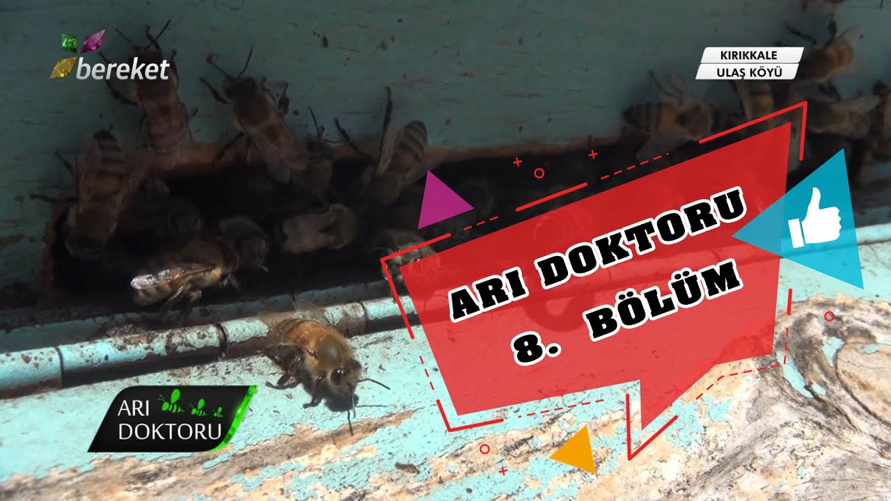 Arı Doktoru 8.  Bölüm | Kırıkkale - Ulaş Köyü