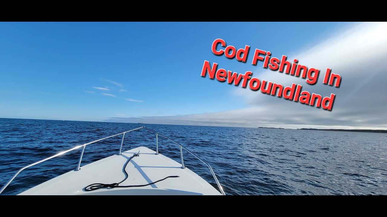 Cod Fishing in Newfoundland