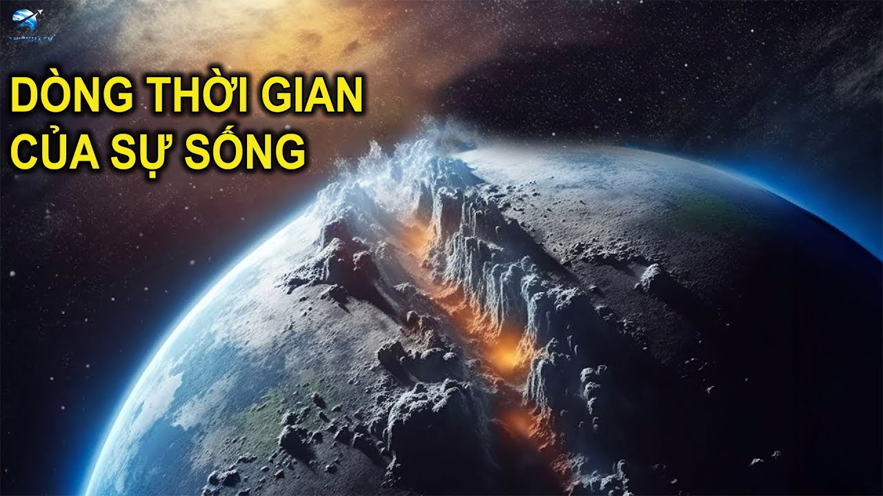 Dòng Thời Gian Của Sự Sống Trên Trái Đất - Phim Tài Liệu Khoa Học | Thiên Hà TV