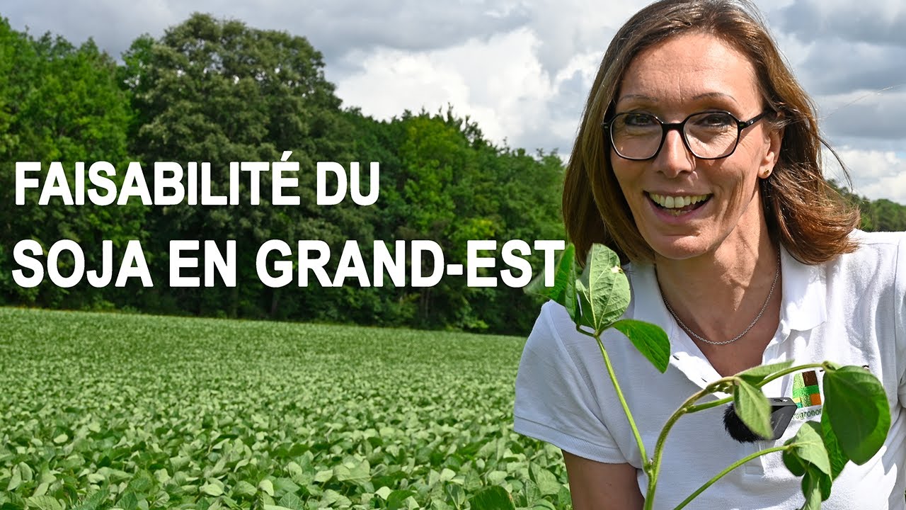 Quel est le potentiel de développement de la culture du soja en Grand Est ? ARPEEGE