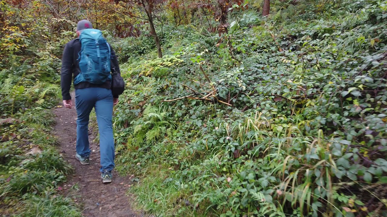 Wanderung - Wiedtaler Höhenpfad - Westerwaldsteig Erlebnisschleife