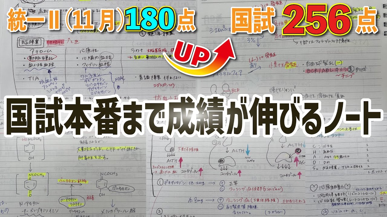 【薬剤師国家試験📖直前ノート抜粋】年末からでもまだ間に合う！暗記したもん勝ち！苦手ノートを見続ければ最後の最後で点数をぐんっと伸びます💪🏼