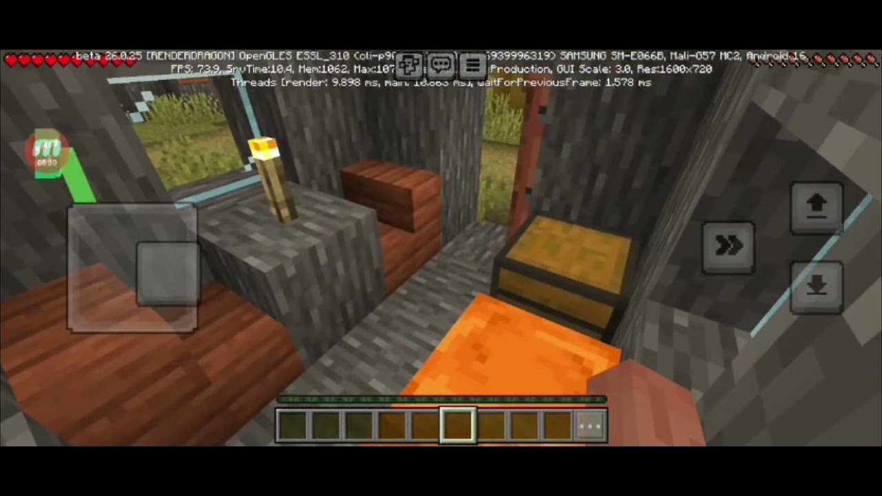 Playing Minecraft 