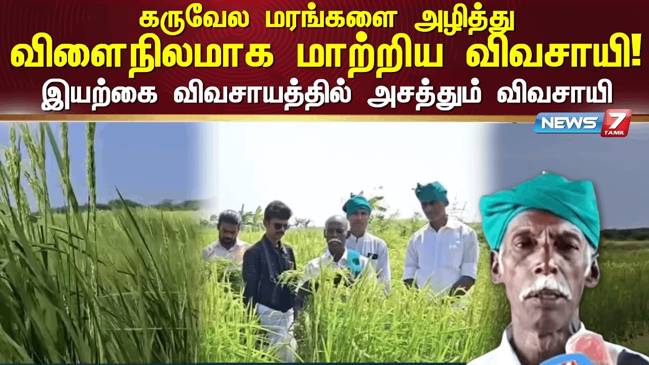 கருவேல மரங்களை அழித்து விளைநிலமாக மாற்றிய விவசாயி NEWS7 TAMIL