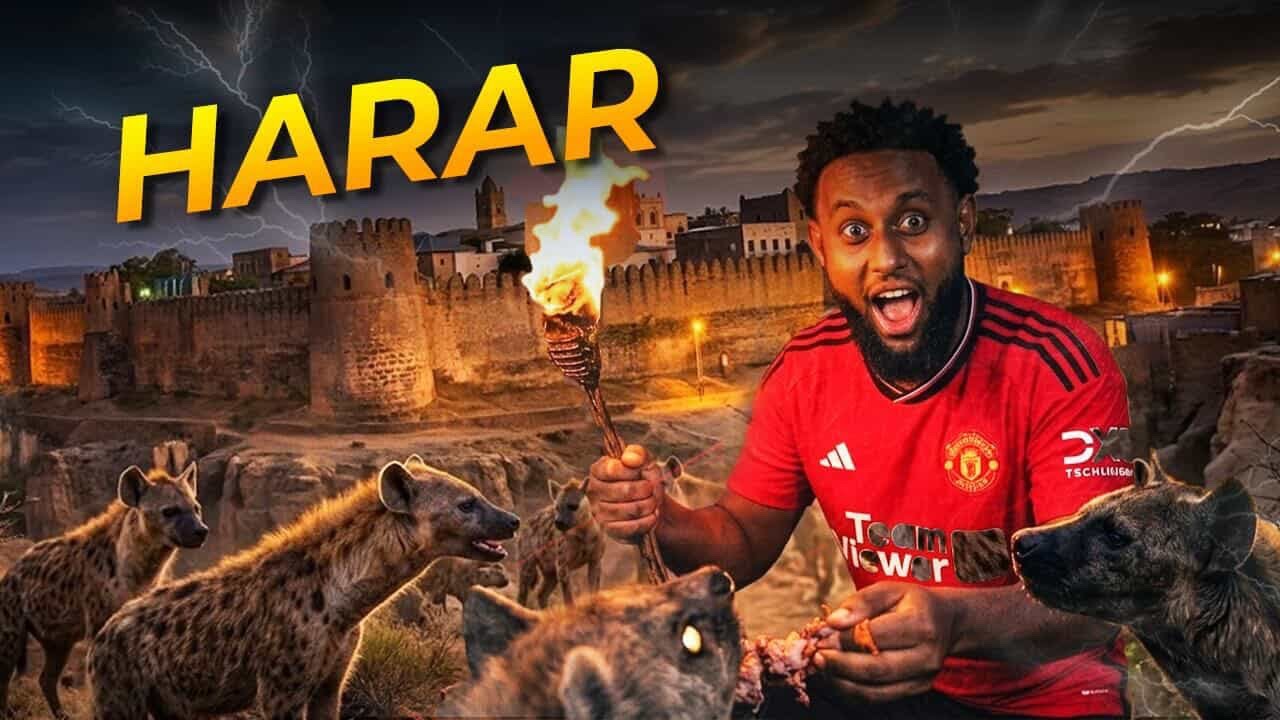 Кормление диких гиен ночью в Хараре, Эфиопия 😳