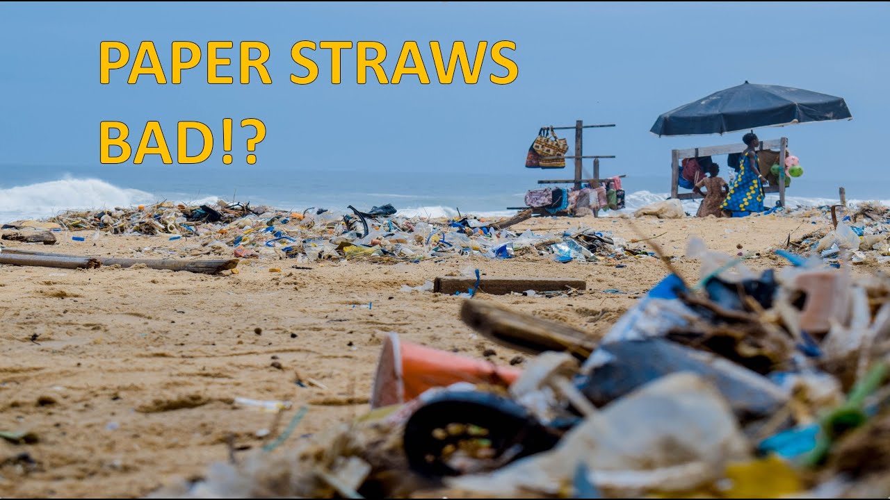 Are PAPER STRAWS BAD for the environment?