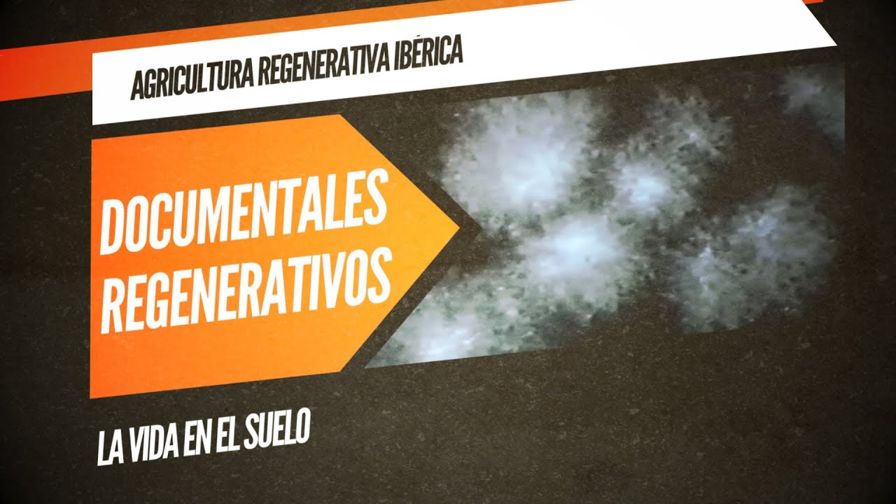 La vida en el suelo (Documental)
