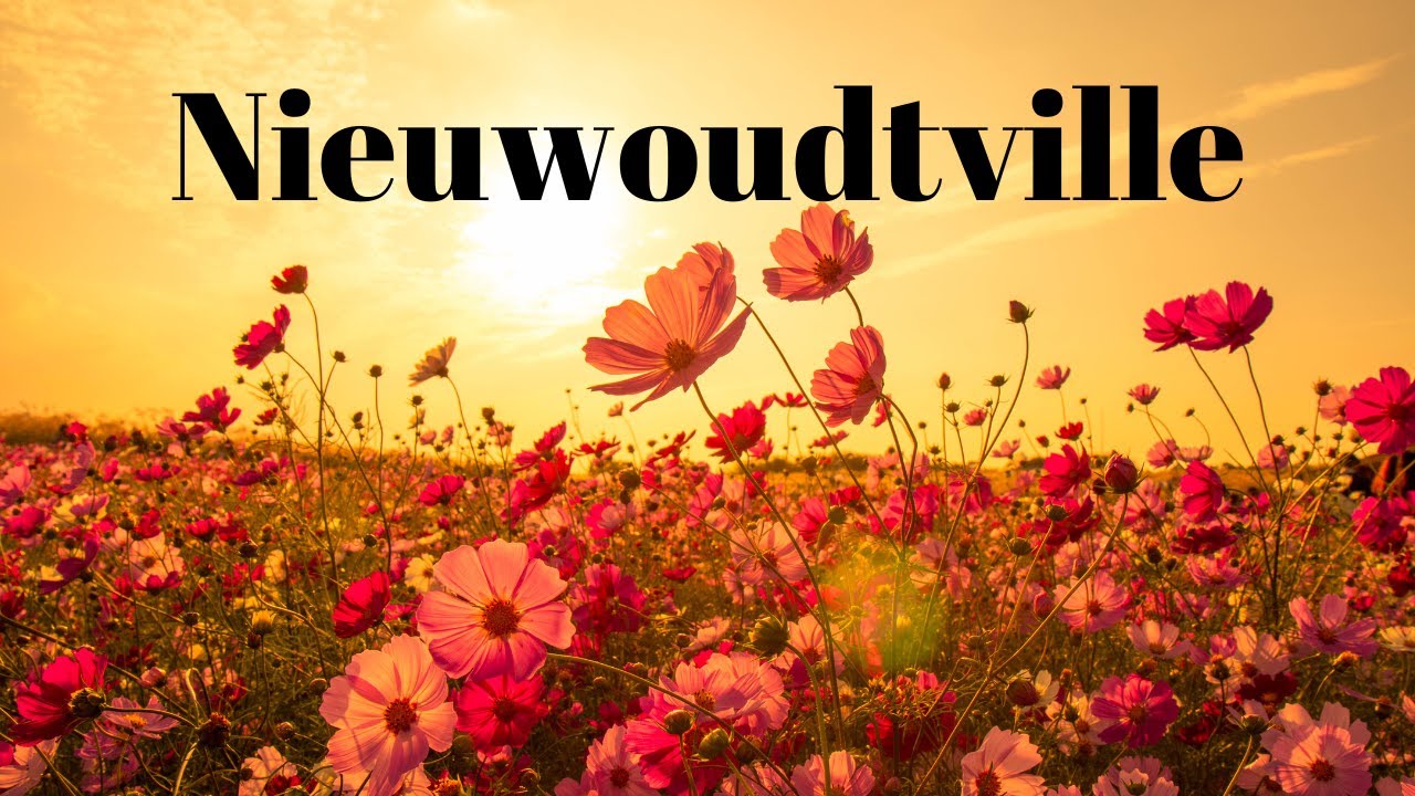 Discover the Hidden Beauty of Nieuwoudtville's 2023 Flower Season