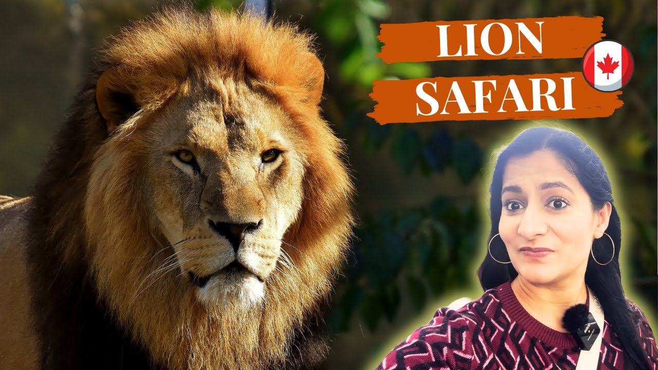 African Lion Safari Hamilton Tour | Canada Travel Vlog