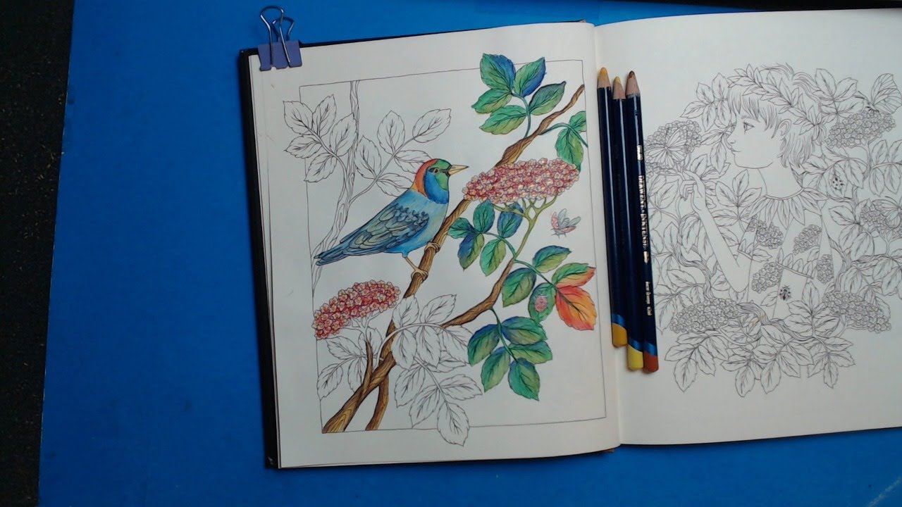 It MUST be a Coloring Sunday - Color & Chat with CLAldridgeArt, Flora with NEW Color Twist!