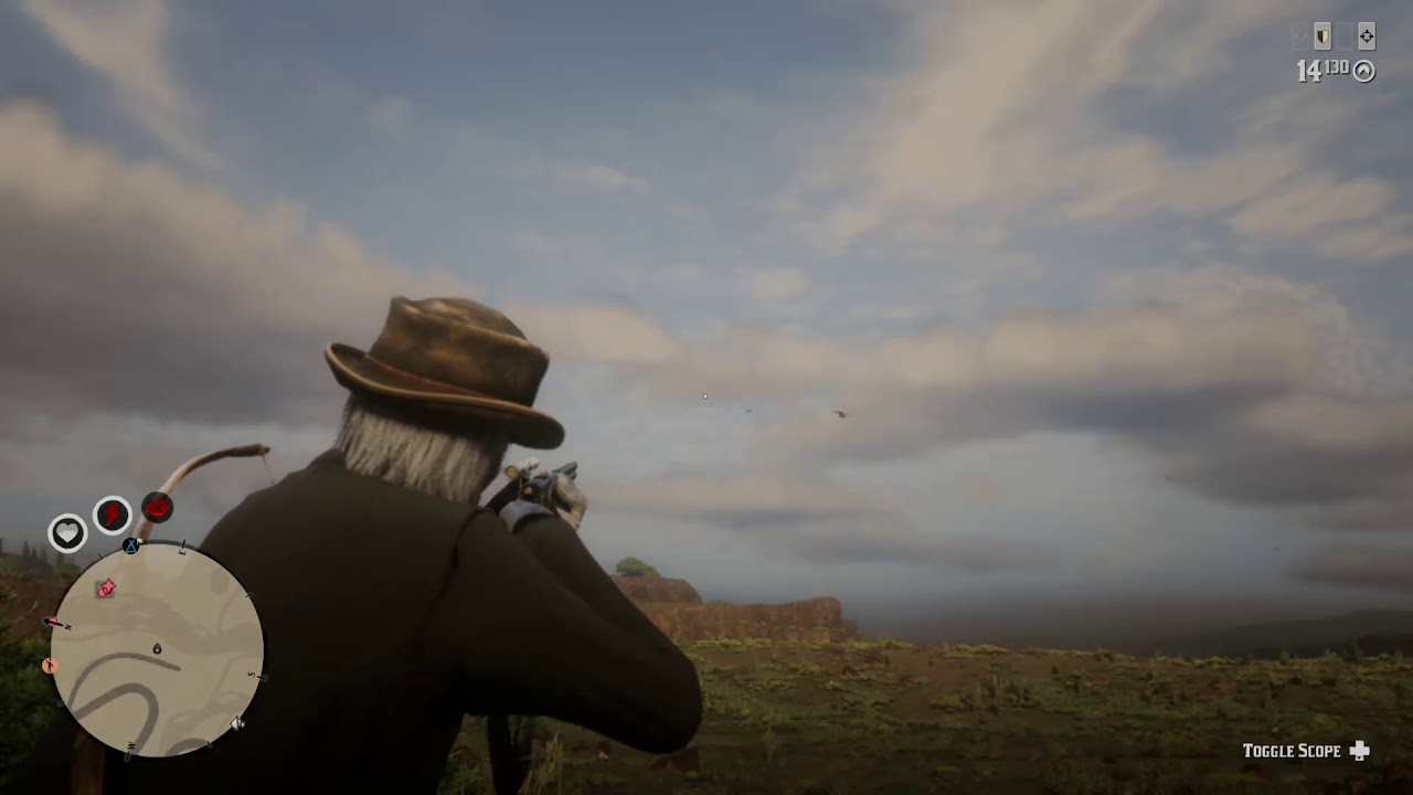 Oh... Bird Hun.... OH.... whats this?