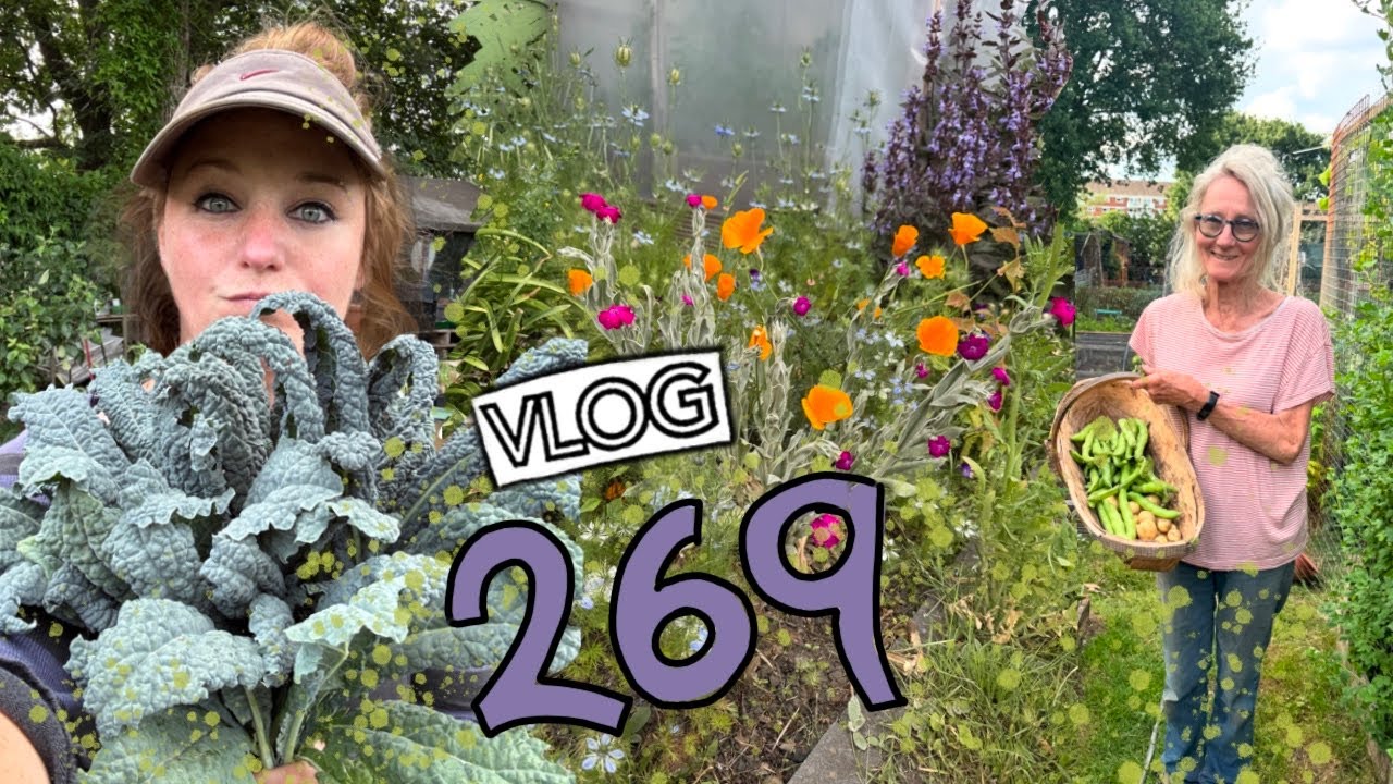 Feeding the Tomatoes + Squash, Melons and Chillies. Ep 269 || Plot 37