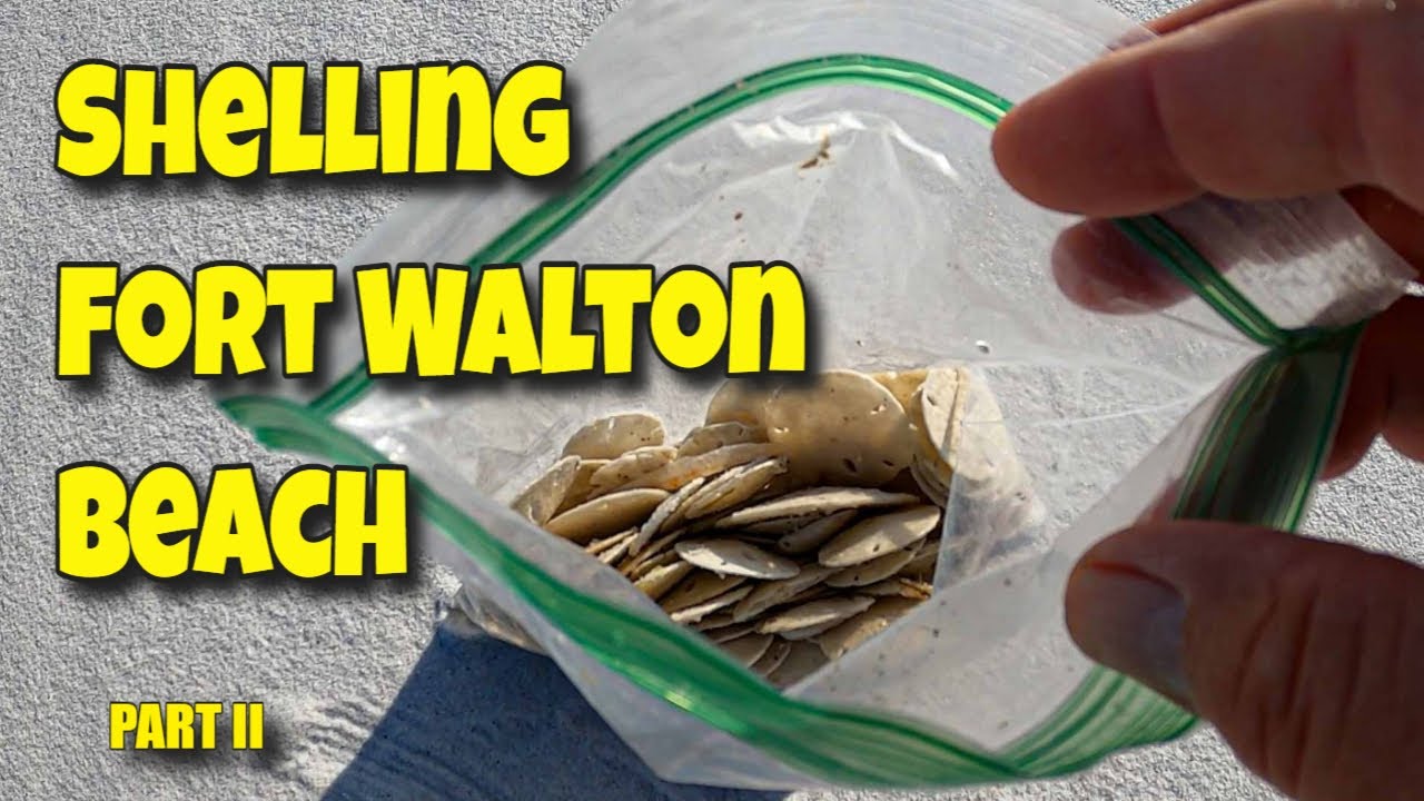 SHELLING Fort Walton Beach, Florida Part II