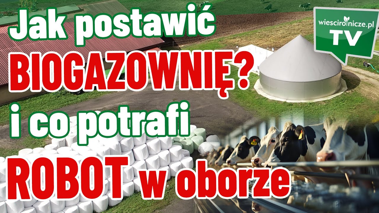 Jak postawić biogazownię? Co potrafią roboty w oborze? Jak nauka pomaga dbać o zdrowie zwierząt?