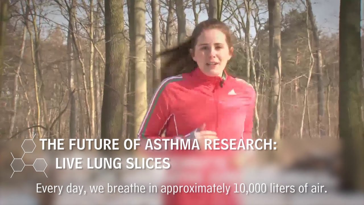 Live lung slices - A new alternative to animal testing!