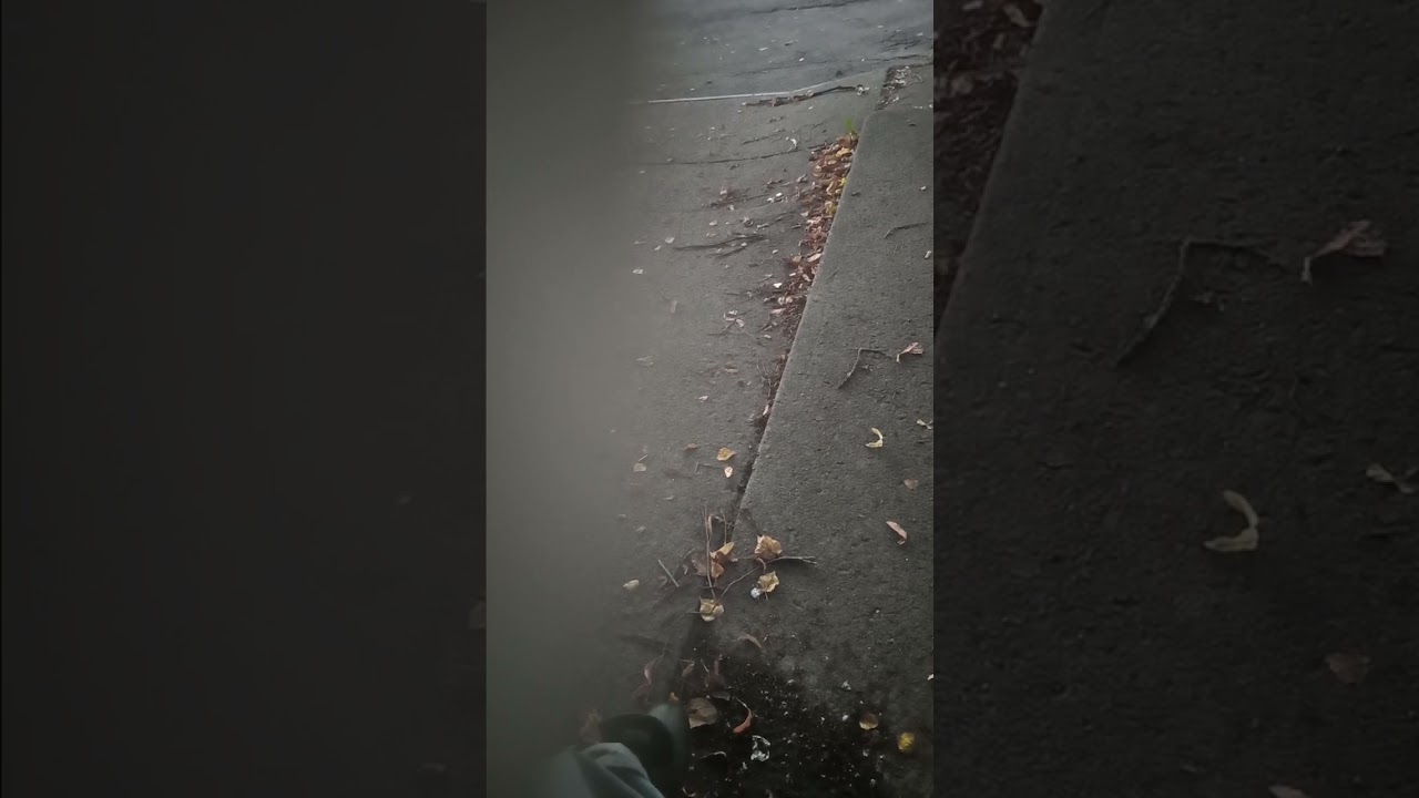 Im not a fortune teller but how long you wanna live anyway?