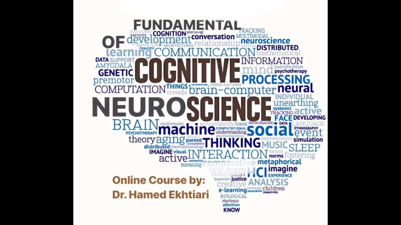 1.1. Fundamentals of Cognitive Neuroscience, First Session, Part One