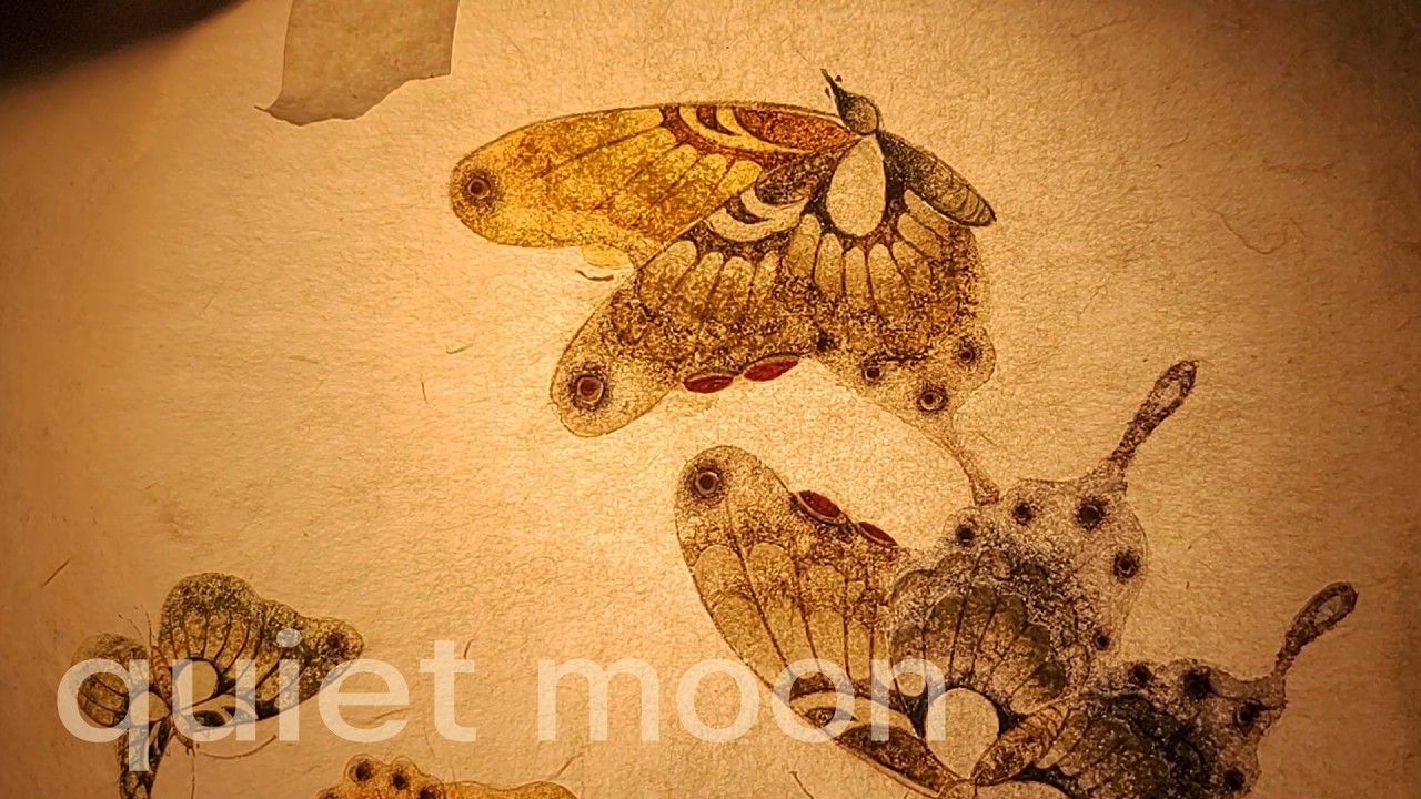 Quiet Moon | Calm Night Loop | Little Quiet Ep.12