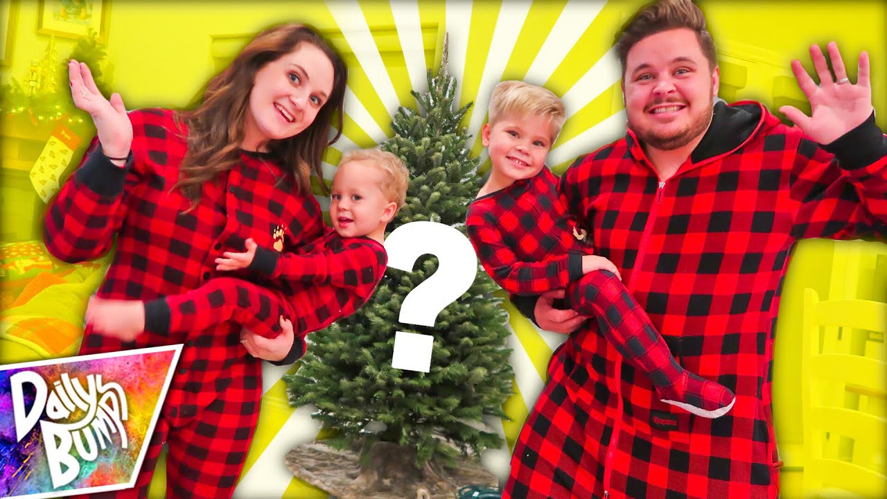 FAMILY CHRISTMAS TREE DECORATING TIME LAPSE!