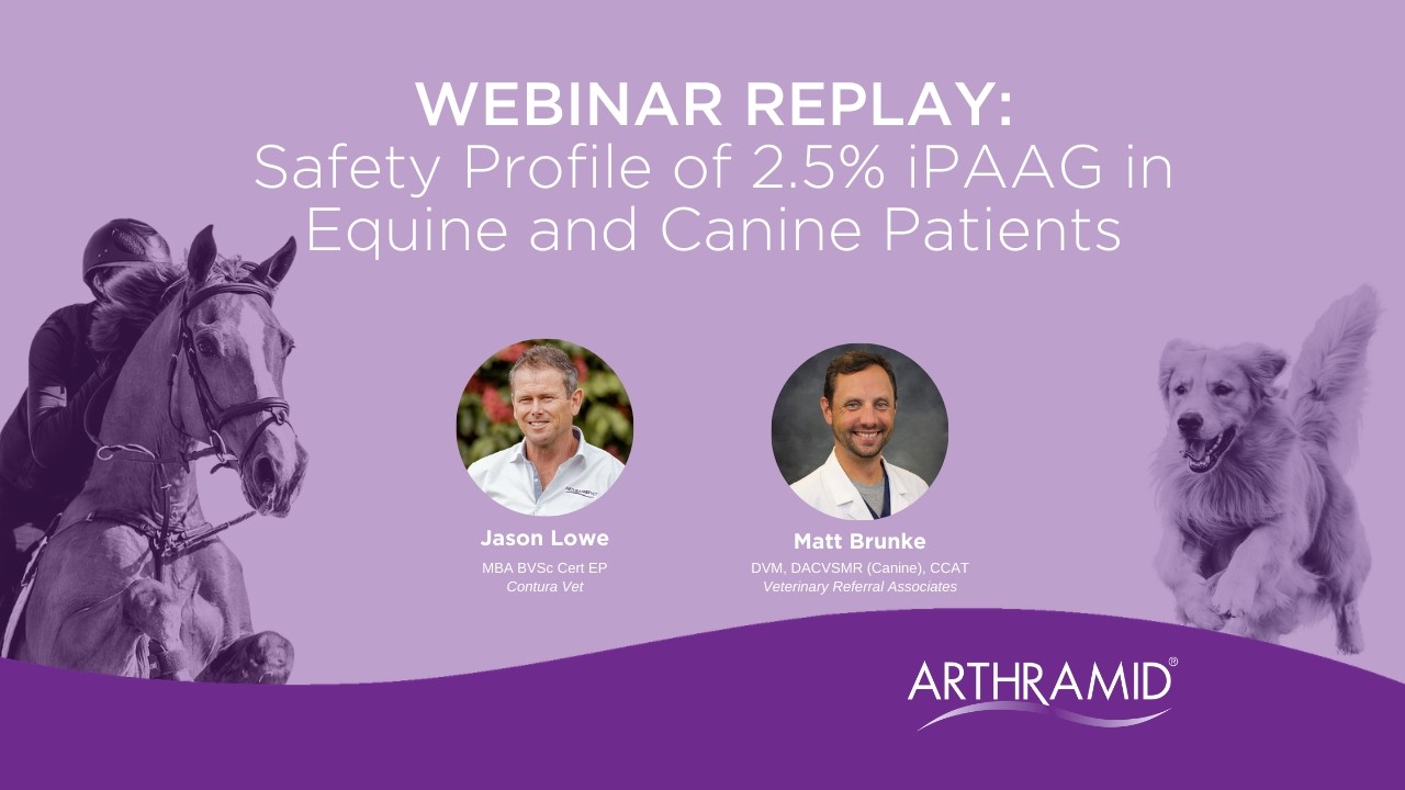 WEBINAR REPLAY: Safety Profile of 2.5% iPAAG in Equine and Canine Patients