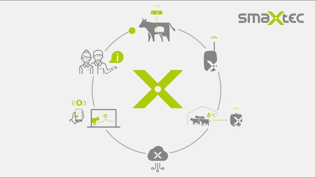 Product video | The smaXtec health system (US Version)