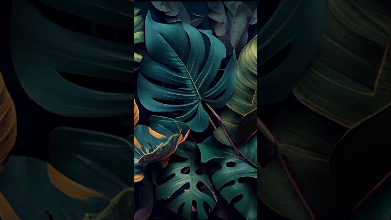 relax music 1  часть #music #relax #video #релакс #4k #life #фон #жизнь #гитара