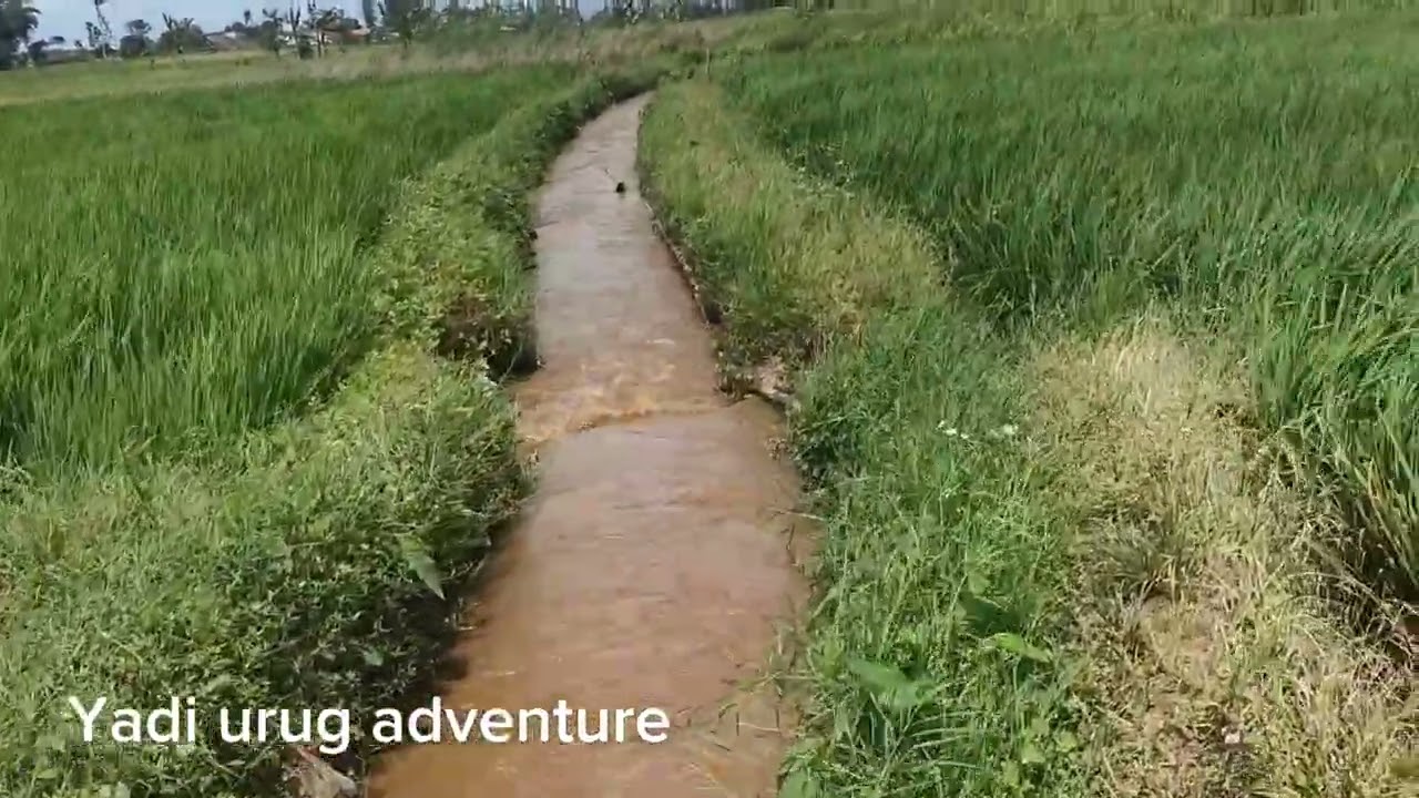 Kondisi aliran sungai Cimanuk bulan puasa hari ke 3..21.02.2026.... kuy keun ah