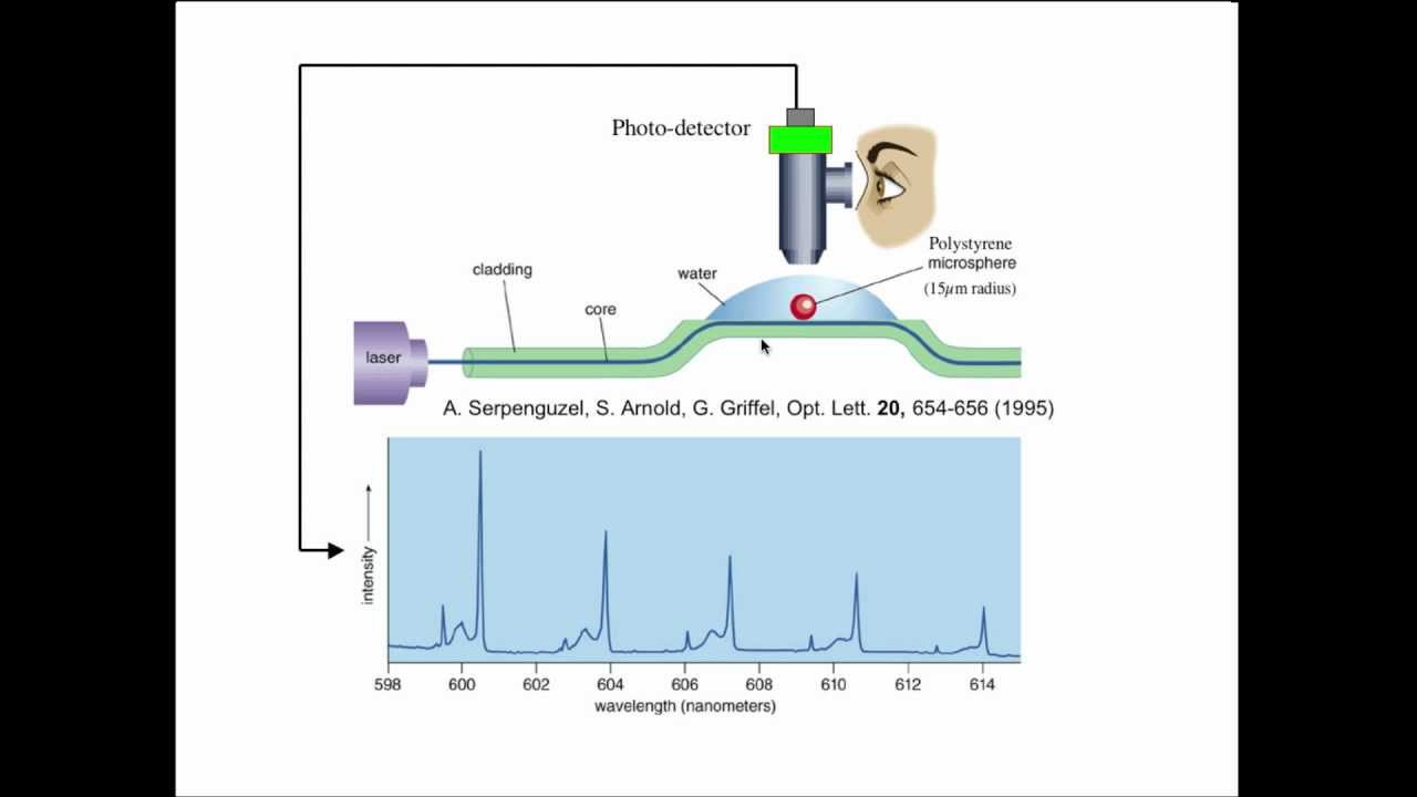 1. Whispering Gallery Mode Biosensor Early History (1994-2002)