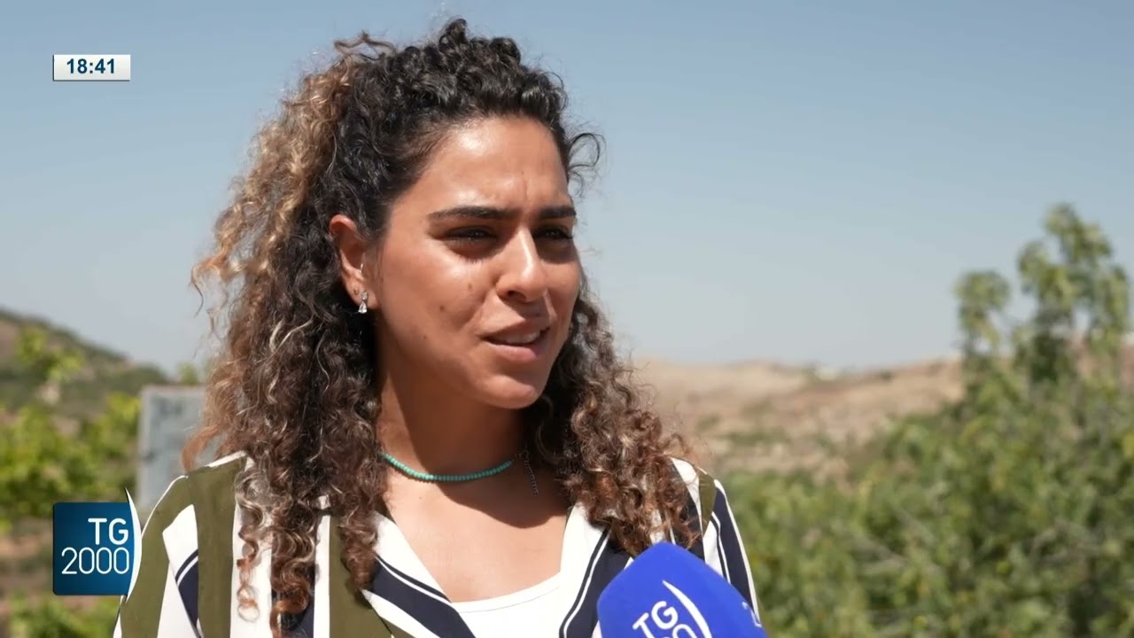 Cisgiordania, coloni israeliani sempre più provocatori e violenti verso i palestinesi