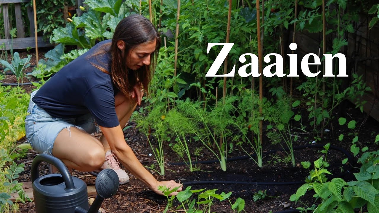 Alles wat je wilt weten over zaaien | Floor Korte - Floors Moestuin