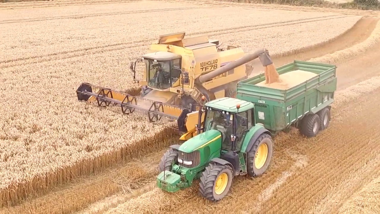 Harvest 19 New Holland TF78