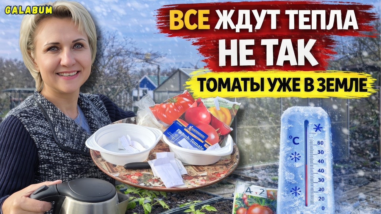 изменила ОДНУ вещь — и укроп взошёл ковром #galabum #укроп