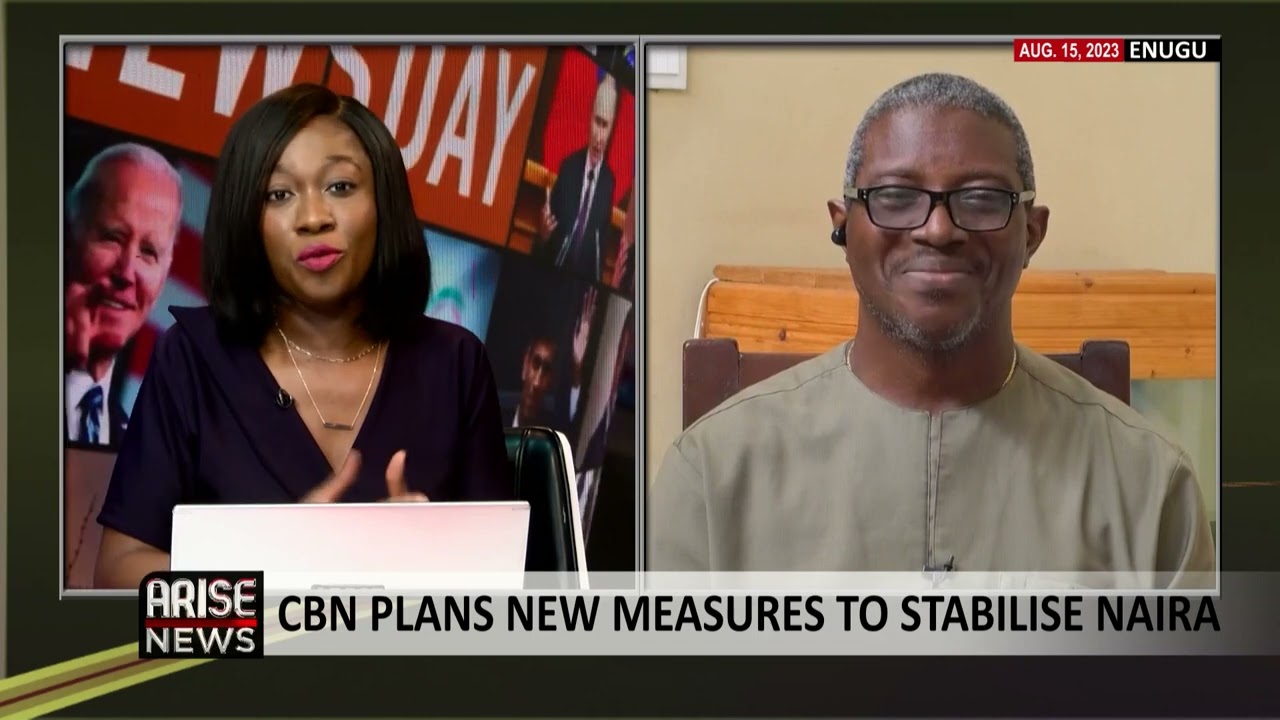 Dollar Inflow: Nigeria Should Encourage and Not Put A Cap on Diaspora Remittance - Ifediora Amobi