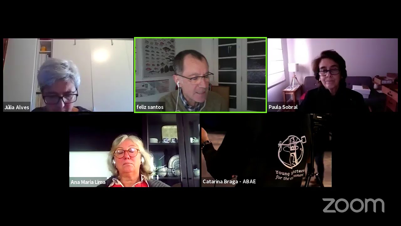 Webinário 