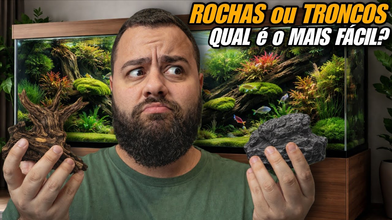 ROCHAS OU TRONCOS? QUAL É O MAIS FÁCIL PARA UM INICIANTE NO AQUÁRIO PLANTADO?