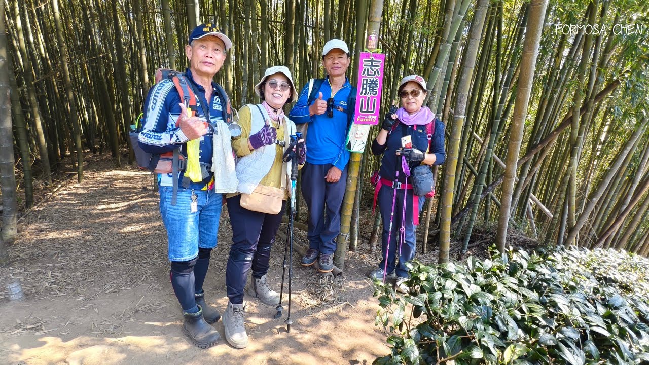 👉一日完成溪頭四秀，在快活林遇見藍腹鷴20260213