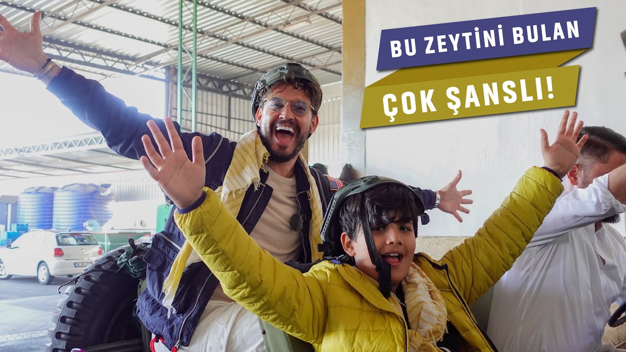 ZEYTİN AĞASINDAN BAHŞİŞİ KAPTIK | Zeno ve Annemle zeytin hasadı, Ayvalık