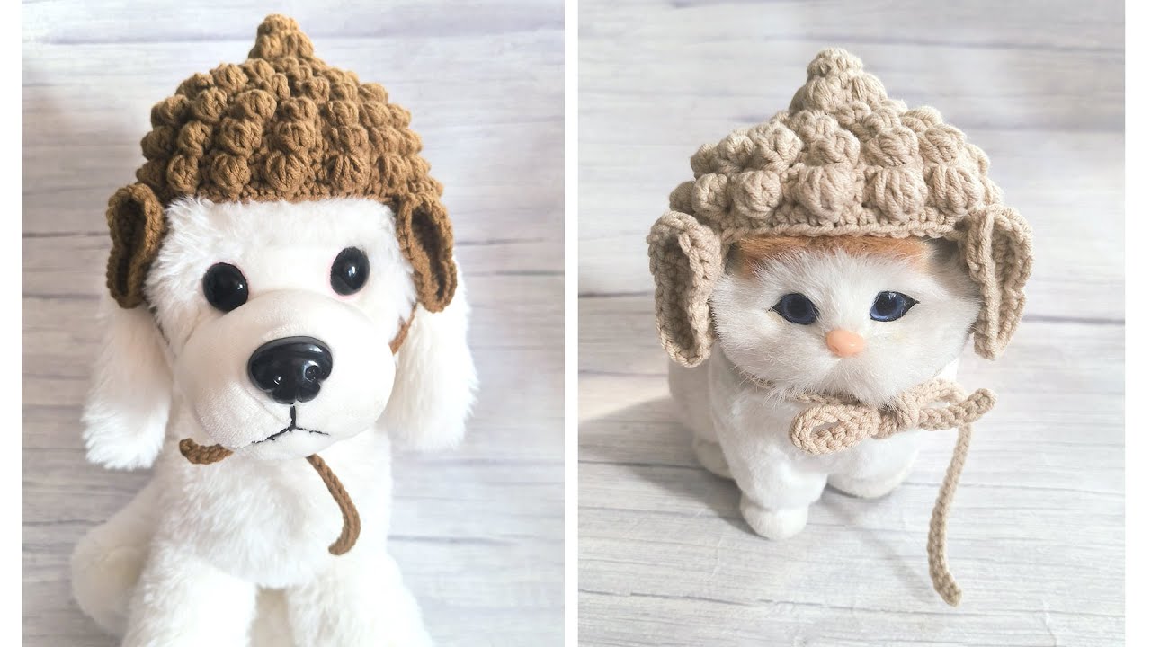 Crochet pet hat, buddha hat for pet