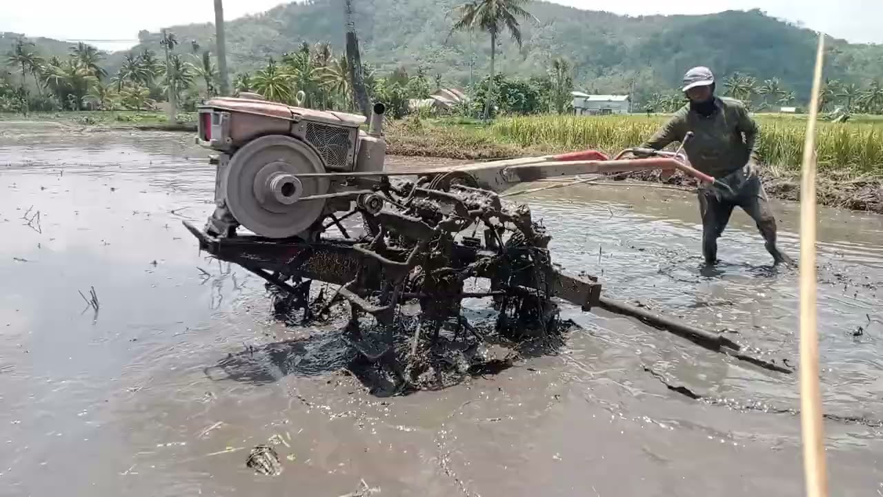 MENGGUNAKAN PAK TAMPAK