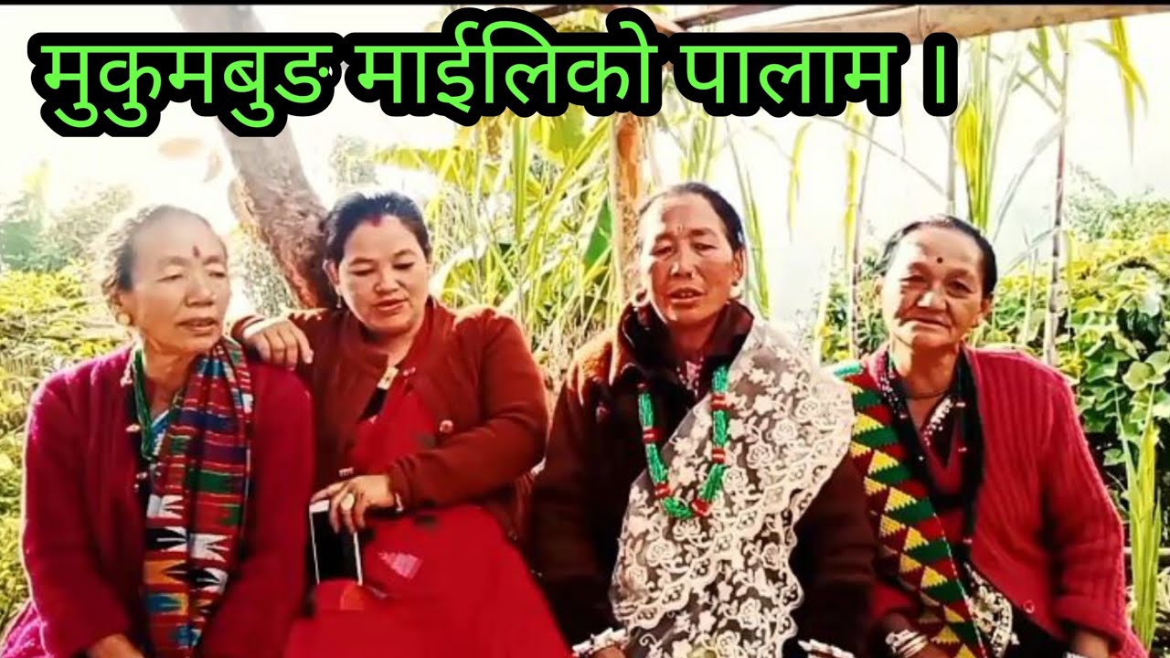 मेरो माईलि फुपुको पालाममा मात्र मिठास नभएर कुरा गराईमा नि मिठास पन छ । 😂😂😂