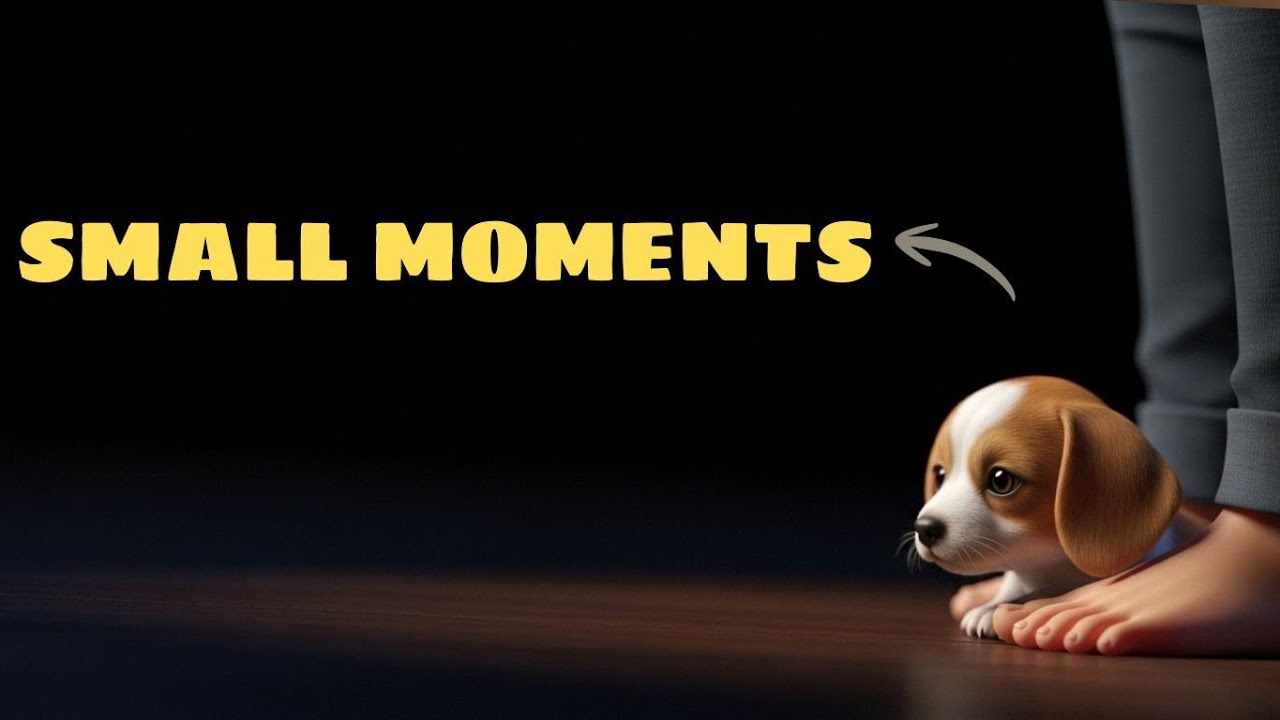 10 Small Things Dogs Do That Mean More Than You Think