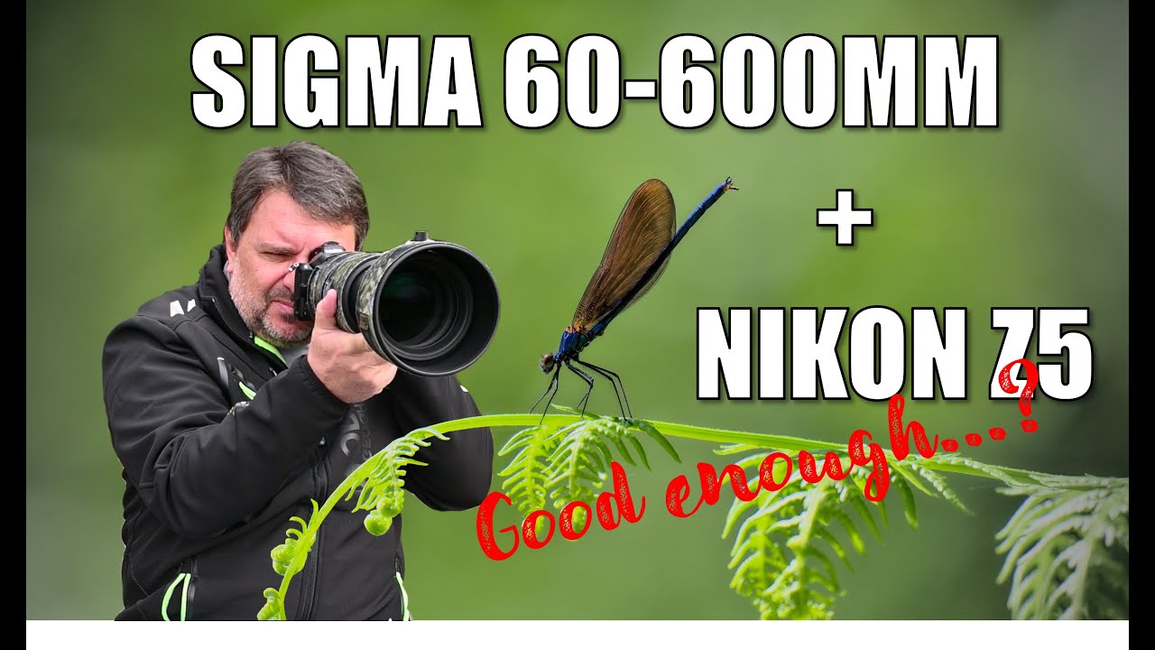 Год спустя: обзор спортивных камер Nikon Z5 и Sigma 60-600mm. Сделка или неудача?