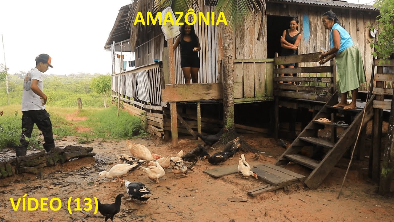 17 DIAS EM UMA COMUNIDADE RIBEIRINHA NO LAGO AMANÃ - AMAZONAS. VÍDEO  ( 13 )