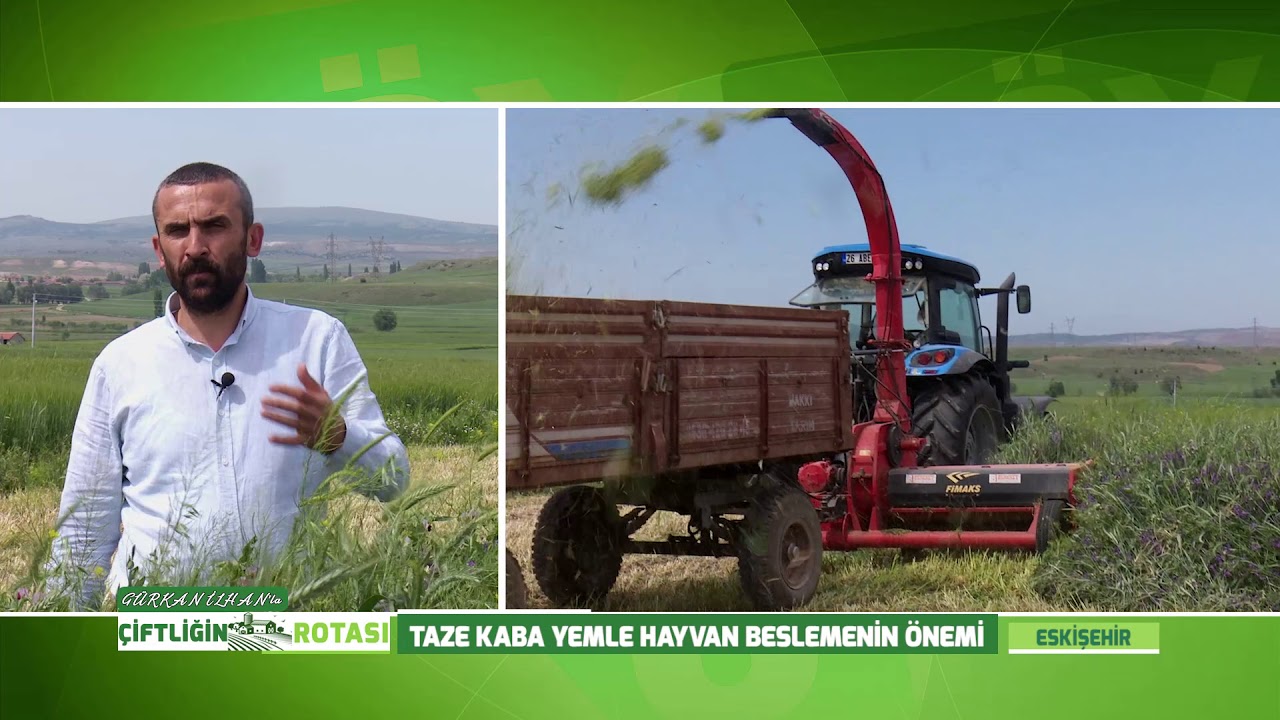 TAZE KABA YEMLE HAYVAN BESLEMENİN ÖNEMİ  | GÜRKAN İLHAN'LA ÇİTLİĞİN ROTASI