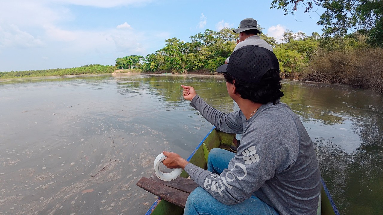 Tarde de pesca de puros bagres de rio usando multiples carnadas