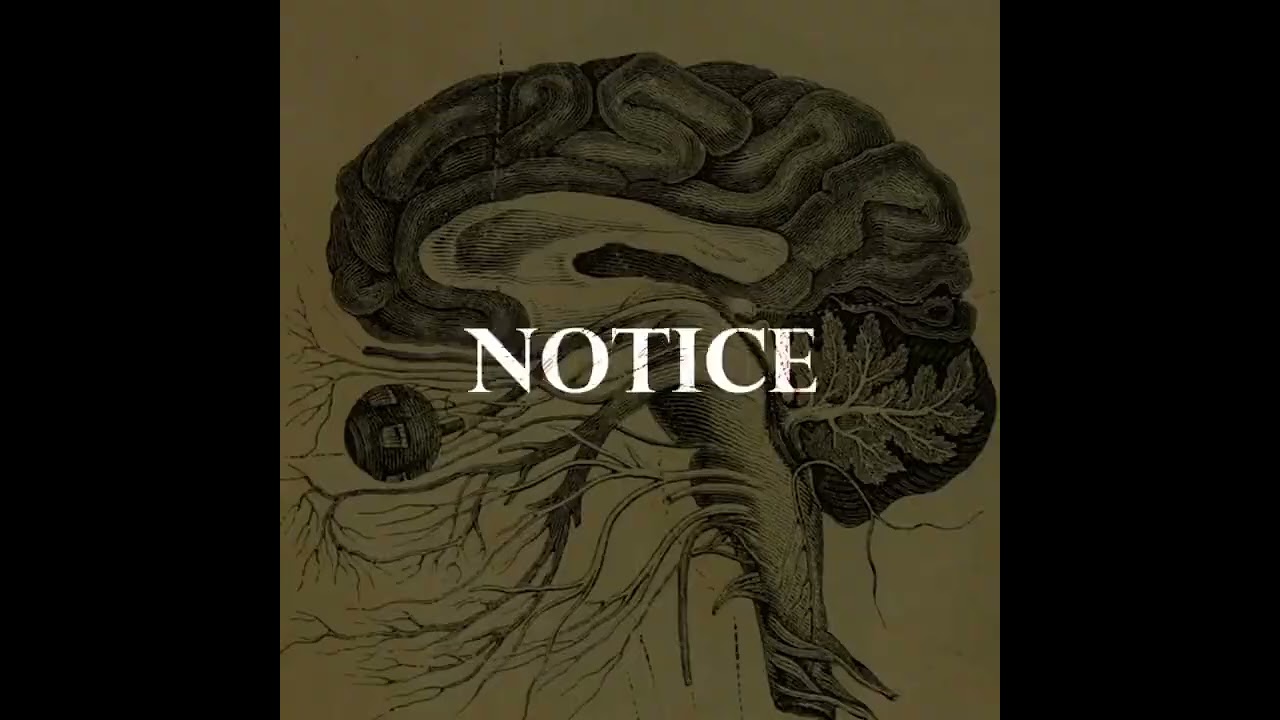 INFJ & INTJ Minds: Why Some Personalities Quietly Control the Room 